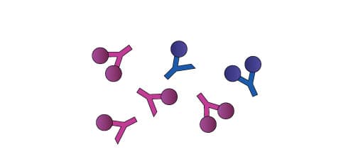 2. Multiple antibodies neutralize multiple growth factors